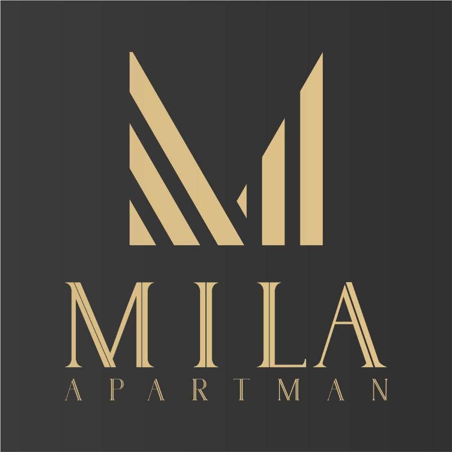 Mila Apartman Apartment Ðakovo Bagian luar foto